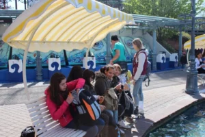 Sortie Europa Park, photo 16