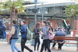 Sortie Europapark, photo 12