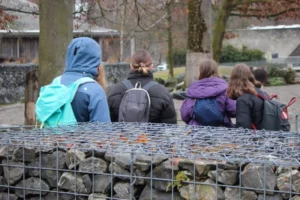 A la découverte de Berne, photo 6