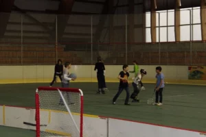 Sport et Détente à l'Artecad Arena de Tramelan, photo 8