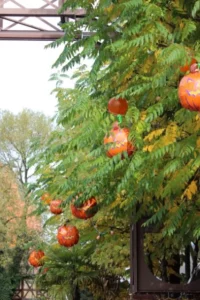 Sortie Europa Park, photo 16