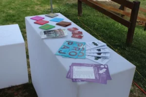 Foire de Chaindon, photo 4