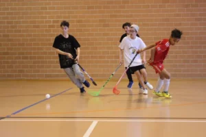 Tournoi Multisport Inter Centre Propaj, photo 5