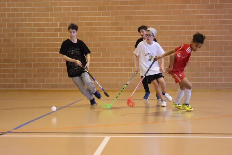 Tournoi Multisport Inter Centre Propaj, photo 5