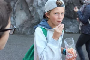 Sortie Europa Park, photo 3