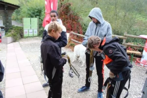 Sortie à l'accrobranche Avec les Jeunes de Malleray et de Tramelan, photo 2