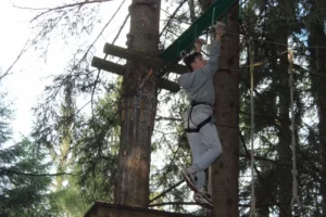 Sortie à l'accrobranche Avec les Jeunes de Malleray et de Tramelan, photo 7