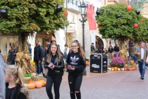 Sortie Europa Park, photo 17