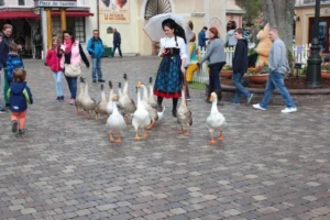Sortie Europa Park, photo 6