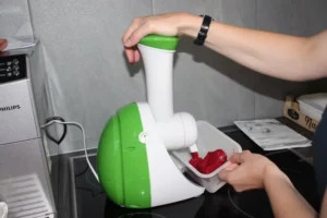 Atelier glaces et sorbets à Malleray, photo 7