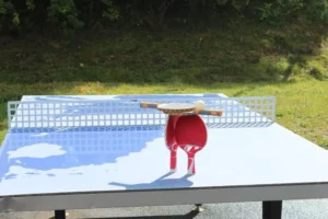 Animation mobile à Lajoux, photo 3