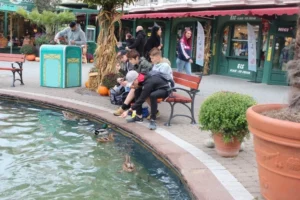 Sortie à Europapark, photo 11