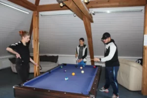 Les astuces du billard à Malleray, photo 2