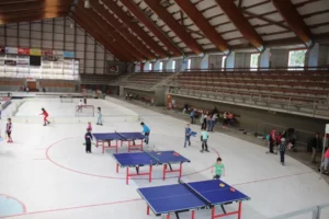 4 après midi Sport et Détente à la patinoire de Tramelan, photo 2