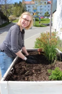 Nettoyage et plantation dans les bacs Comme... un jardin de Tramelan, photo 2