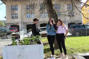 Nettoyage et plantation dans les bacs Comme... un jardin de Tramelan, photo 8