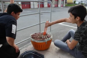 Repas saveurs d'ailleurs syrien à Tramelan, photo 8