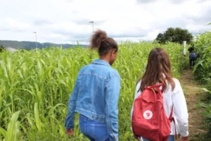 Après midi au Swiss Labyrinthe à Delémont, photo 2