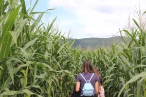 Après midi au Swiss Labyrinthe à Delémont, photo 5