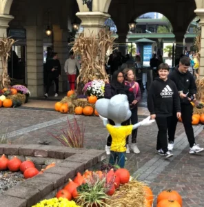 Sortie à Europapark, photo 5