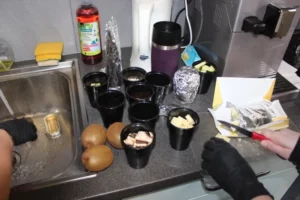 Dégustation à l'aveugle à Malleray, photo 1