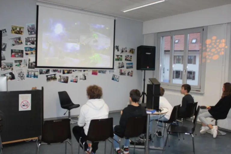Jeux vidéo sur grand écran à Malleray, photo 7