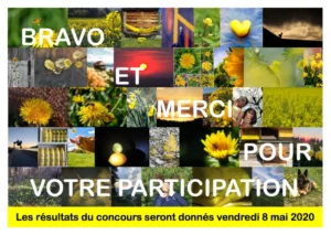 Concours photo de l'AJR sur le thème La couleur Jaune, photo 1