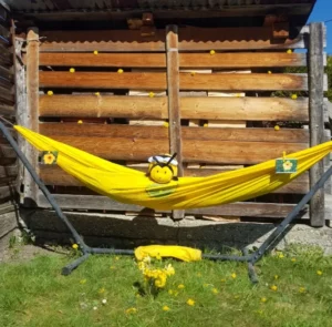 Concours photo de l'AJR sur le thème La couleur Jaune, photo 6