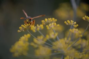 Concours photo de l'AJR sur le thème La couleur Jaune, photo 13