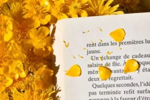 Concours photo de l'AJR sur le thème La couleur Jaune, photo 14
