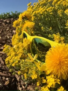 Concours photo de l'AJR sur le thème La couleur Jaune, photo 16