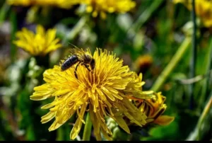Concours photo de l'AJR sur le thème La couleur Jaune, photo 20