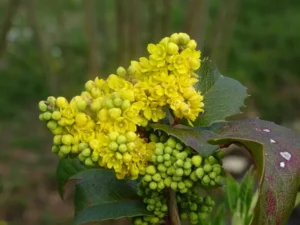 Concours photo de l'AJR sur le thème La couleur Jaune, photo 27