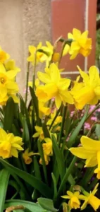 Concours photo de l'AJR sur le thème La couleur Jaune, photo 29