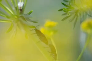 Concours photo de l'AJR sur le thème La couleur Jaune, photo 33