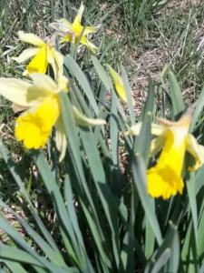 Concours photo de l'AJR sur le thème La couleur Jaune, photo 34