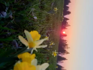 Concours photo de l'AJR sur le thème La couleur Jaune, photo 35