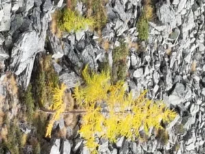 Concours photo de l'AJR sur le thème La couleur Jaune, photo 39