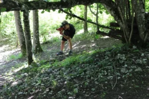 Après midi Lazergame en nature à Chaumont, photo 8