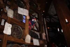 Sortie à Europapark à Rust, photo 8