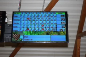 Sortie Bowling et pizza à la Croisée des Loisirs à Delémont, photo 11