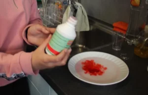 Petites expériences scientifiques à Malleray, photo 4