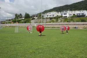 Fun Games à St Joux La Neuveville, photo 2