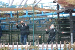 Sortie à Europapark à Rust, photo 14