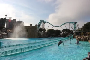 Sortie à Europapark à Rust, photo 16