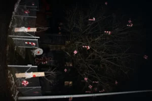 Installation et inauguration de la décoration de Noël à Tramelan, photo 9