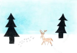 Concours de dessin pour la carte de voeux de l'AJR, photo 30