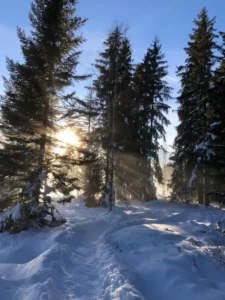 Balade à l'étang de la Gruère, photo 5