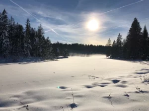 Balade à l'étang de la Gruère, photo 7