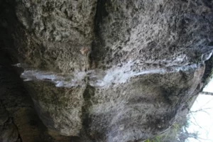 Balade et énigmes dans les gorges du Taubenloch, photo 8